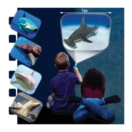 Brainstorm Shark Torch and Projector