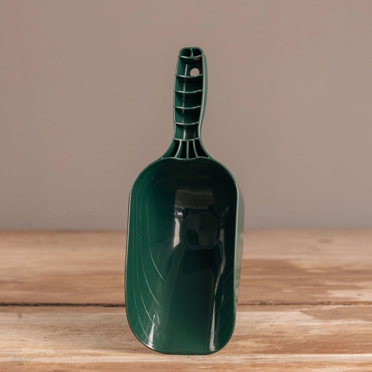 Tom Chambers Seed & Feed Scoop