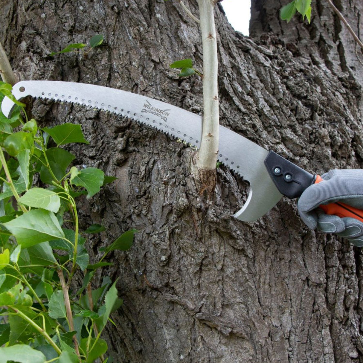 Wilkinson Sword Telescopic Hand Held Saw