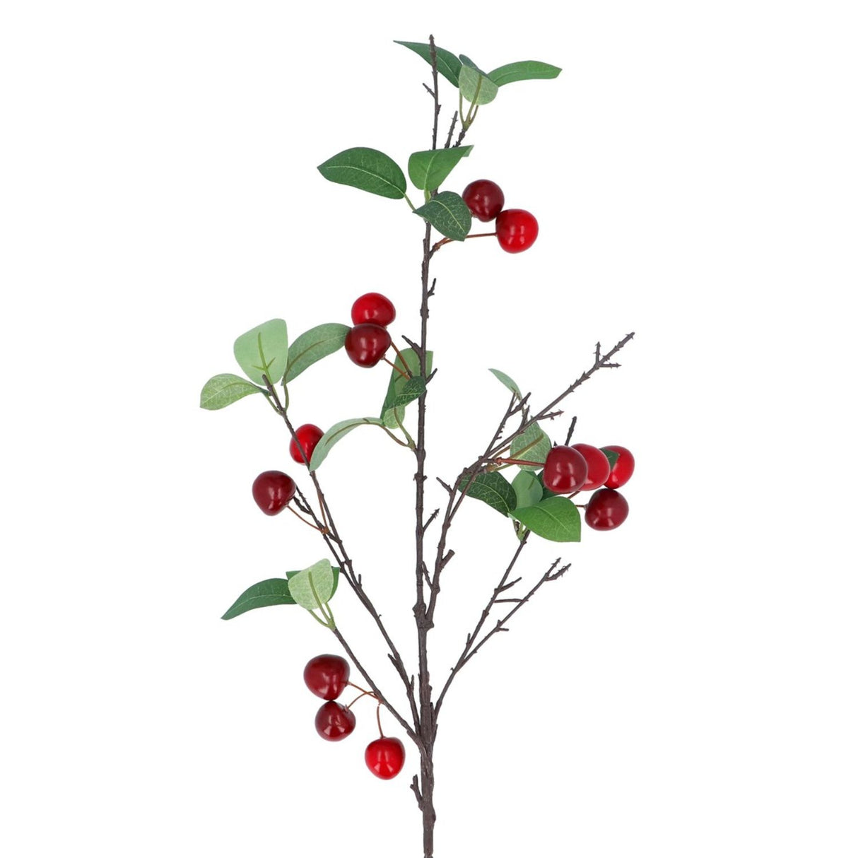 Gisela Graham Cherry Branch
