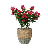 Kaemingk 30cm Round Indoor and Outdoor Flores Planter Wicker Pot  (Choice of 4)