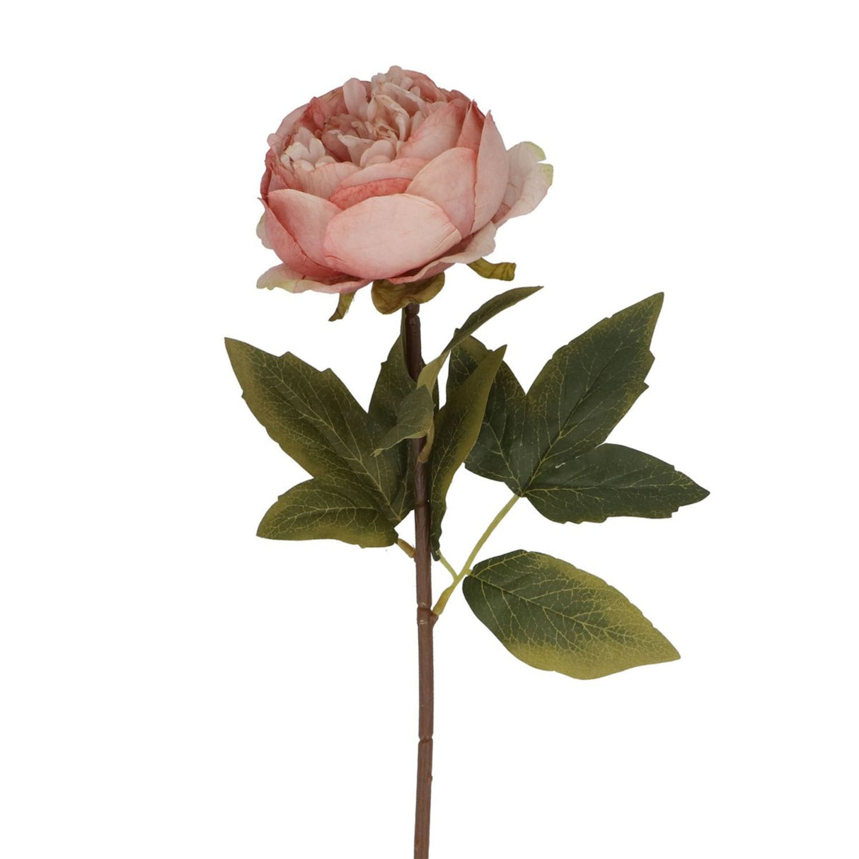 Gisela Graham Antique Pink Peony Stem