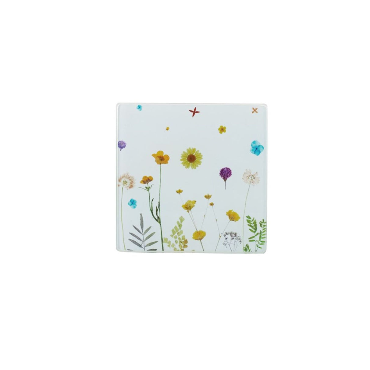 Botanics Glass Coasters (Set of 4)