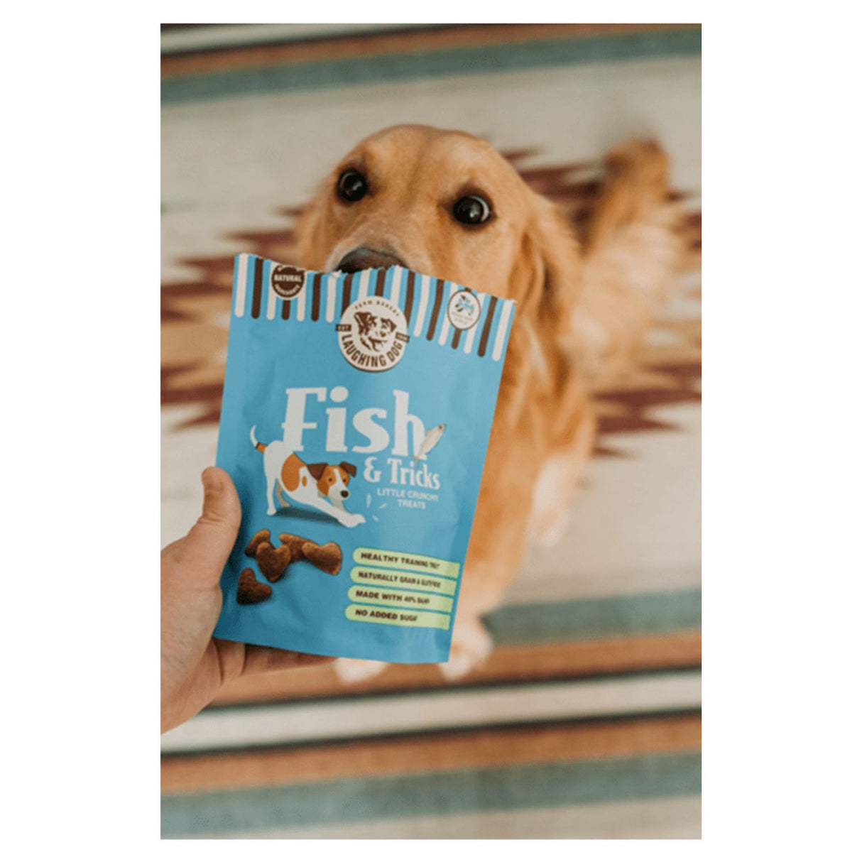 Laughing Dog 125g Grain Free Fish & Tricks Treats