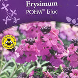 Erysimum 'Poem Lilac' Plant 1.5Ltr Pot