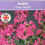 Arabis blepharophylla 'Rose Delight' Plant 1Ltr Pot