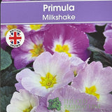 Primula vulgaris 'Milkshake' English Primrose 2Ltr Pot