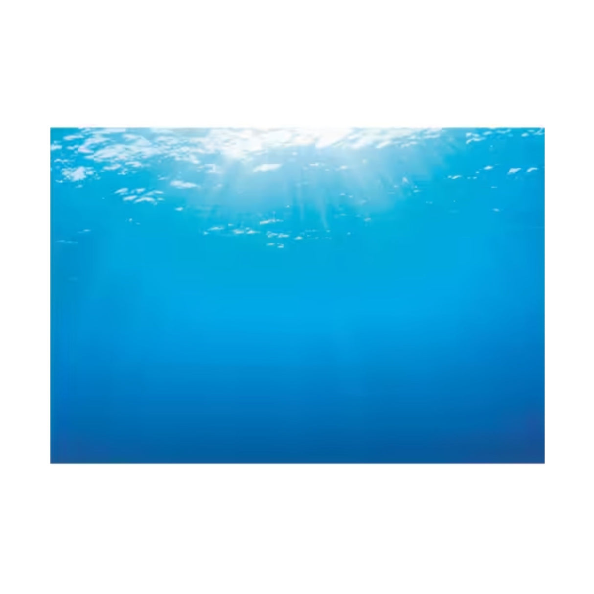 Juwel XL Blue Water Fish Tank Poster (Double Sided)