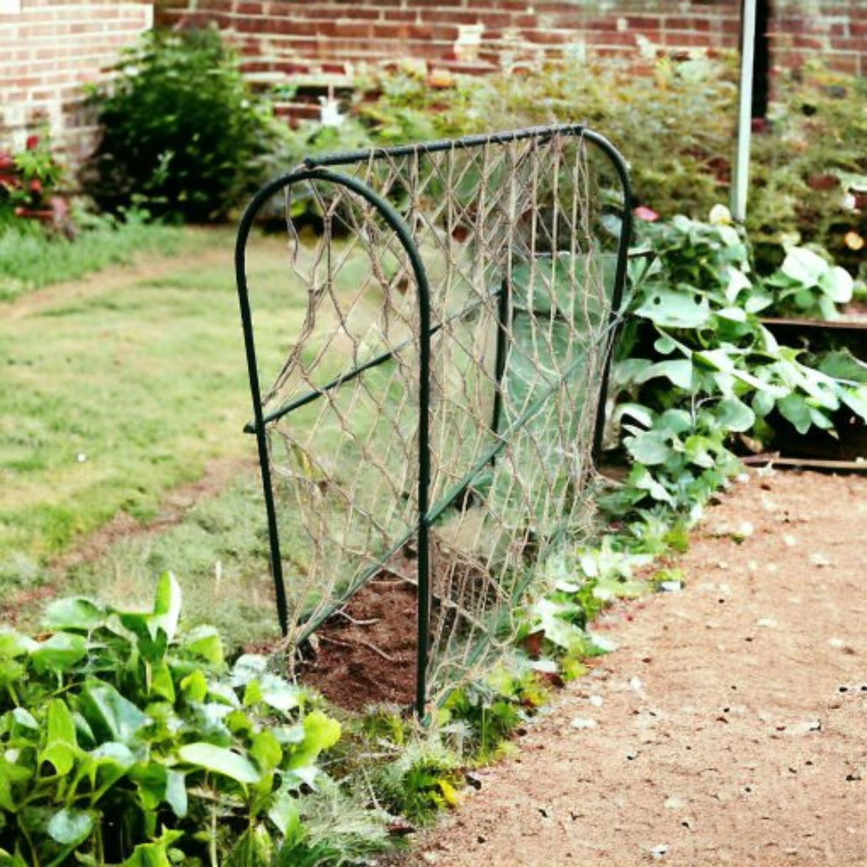 Green Key 100x100cm Pea Hoop