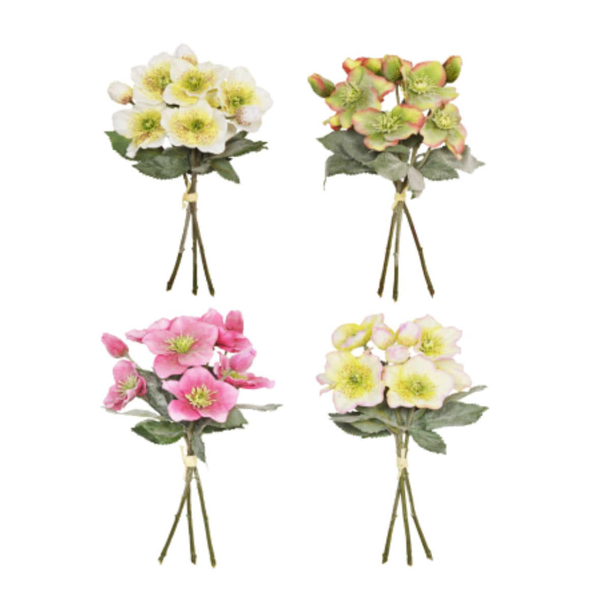 Sincere Floral 34cm Hand Tied Hellebores (Choice of 4)