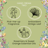 Flower of Focus 30ml Power Through Hand Cream Trio (Set of 3)