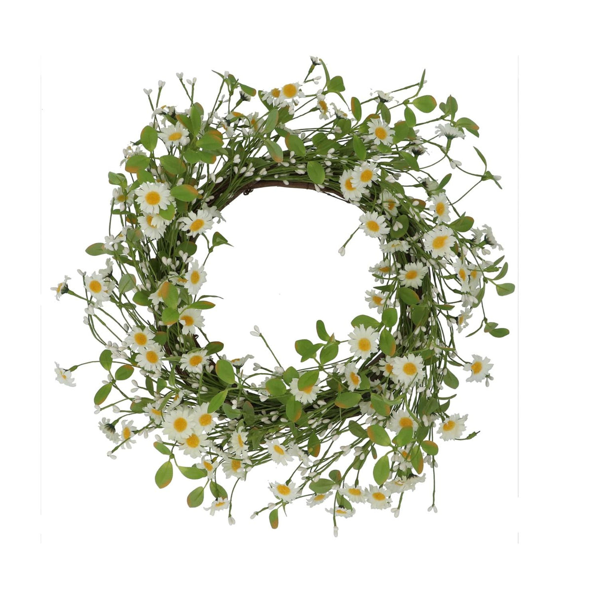 Gisela Graham 49cm Daisy and Foliage Spring Wreath