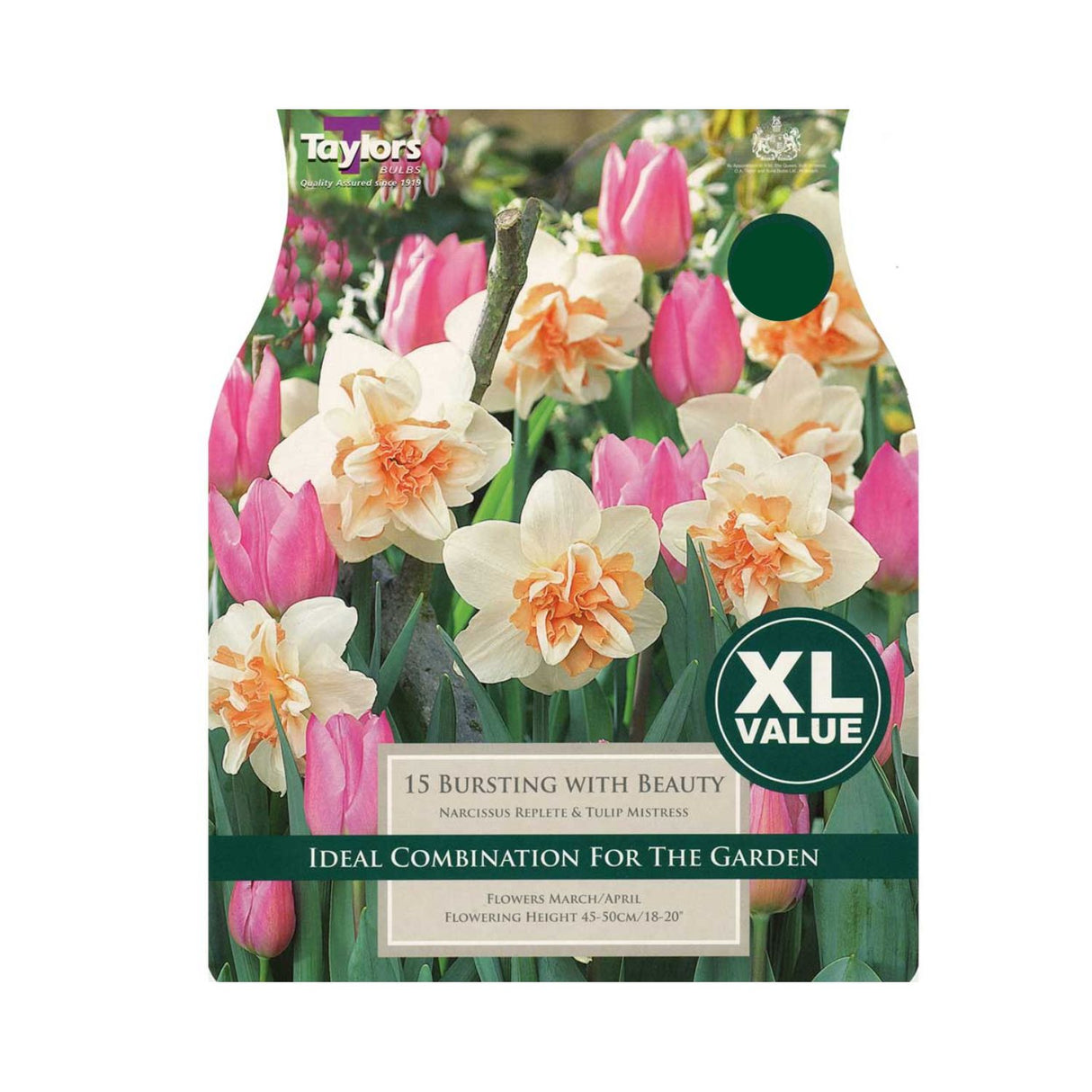 Taylors 15 Narcissus & Tulips Bursting With Beauty Bulbs