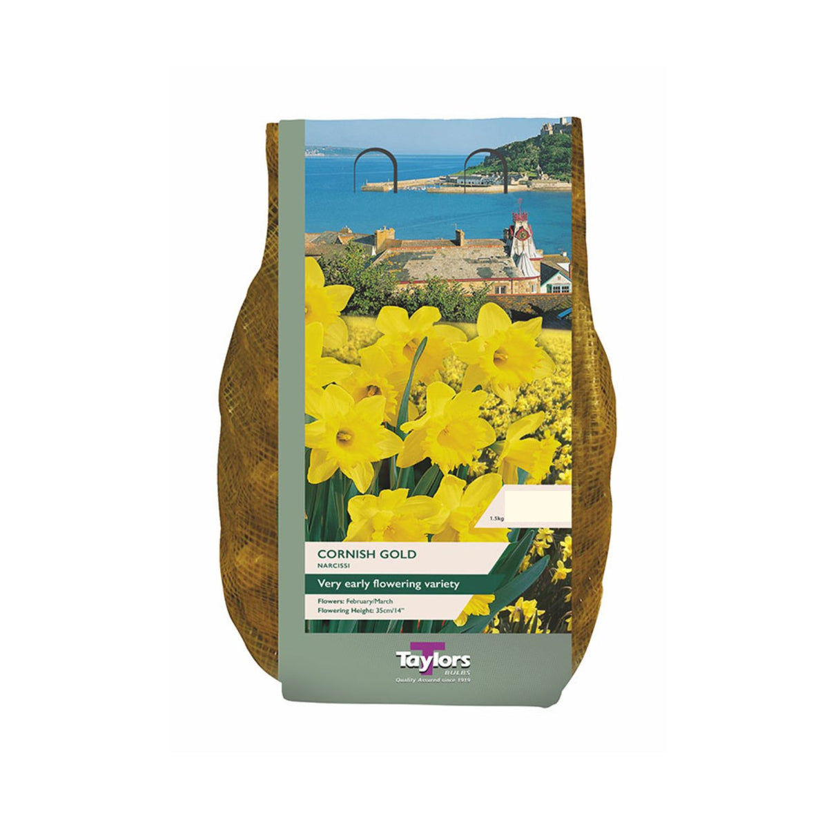 Taylors 1.5kg Cornish Gold Narcissi Daffodil Bulbs