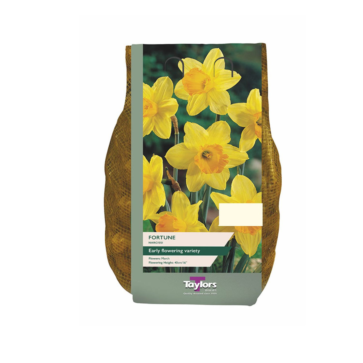 Taylors 1.5kg Fortune Narcissi Daffodil Carri-Pack - 2 FOR £12