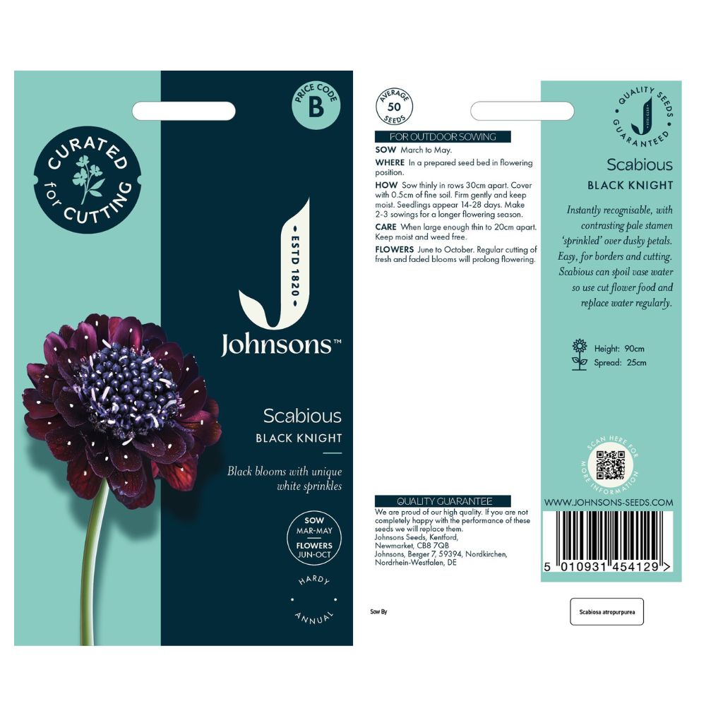 Johnsons Scabious Black Knight Seeds