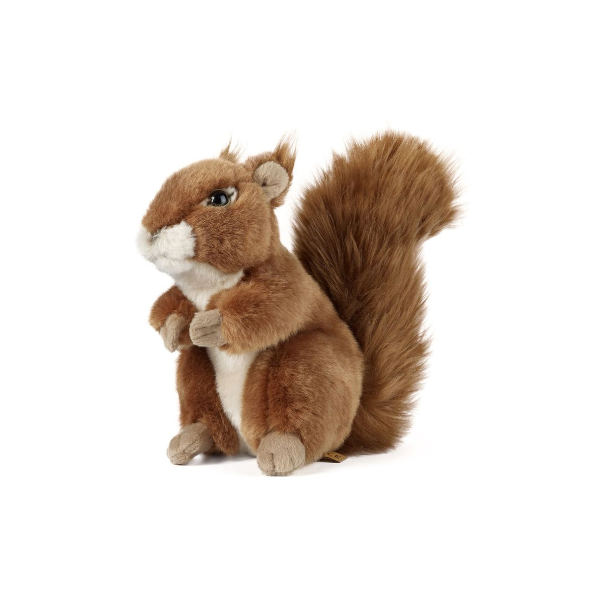 Keycraft Squirrel Plush