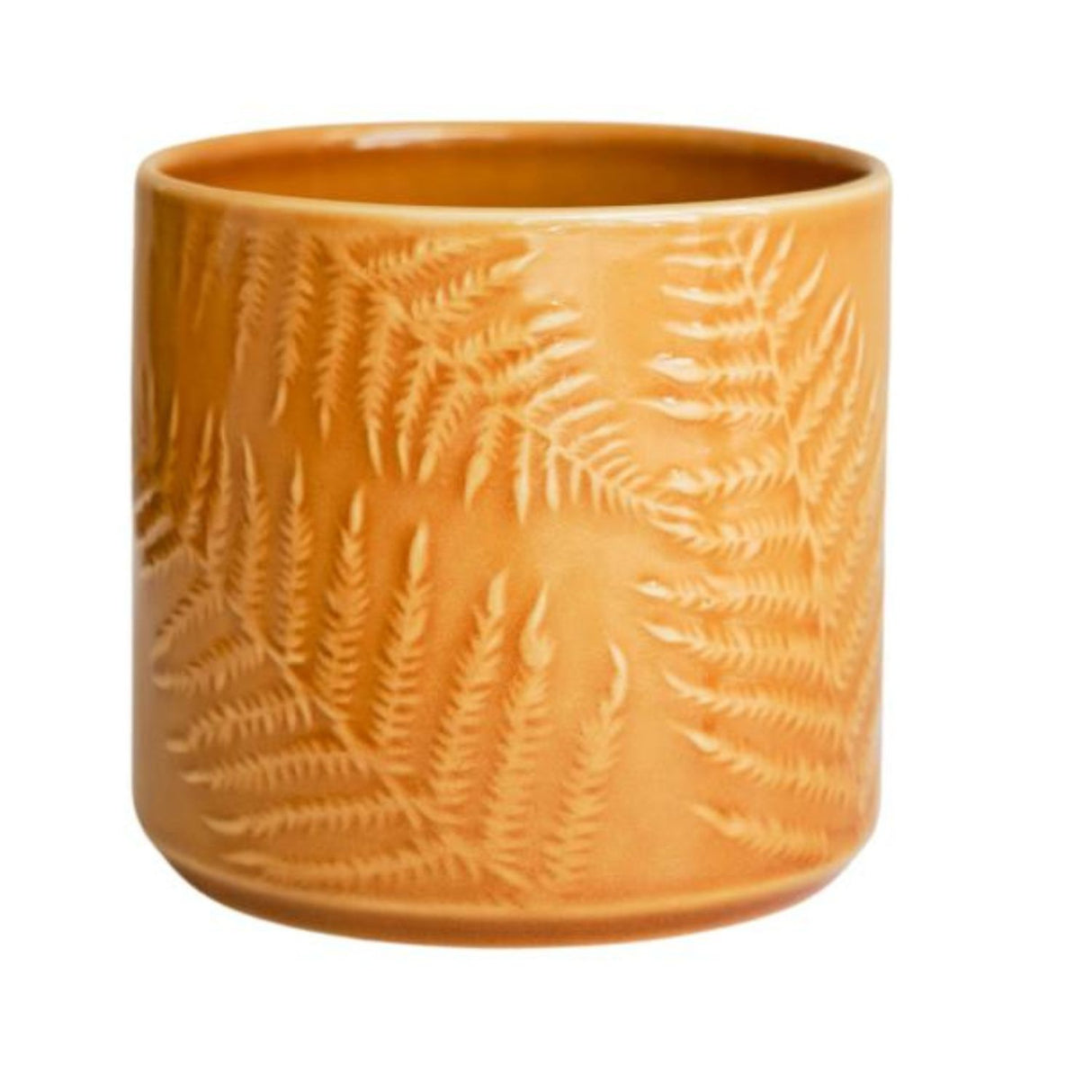 Ivyline 13cm Orla Glazed Fern Mustard Planter