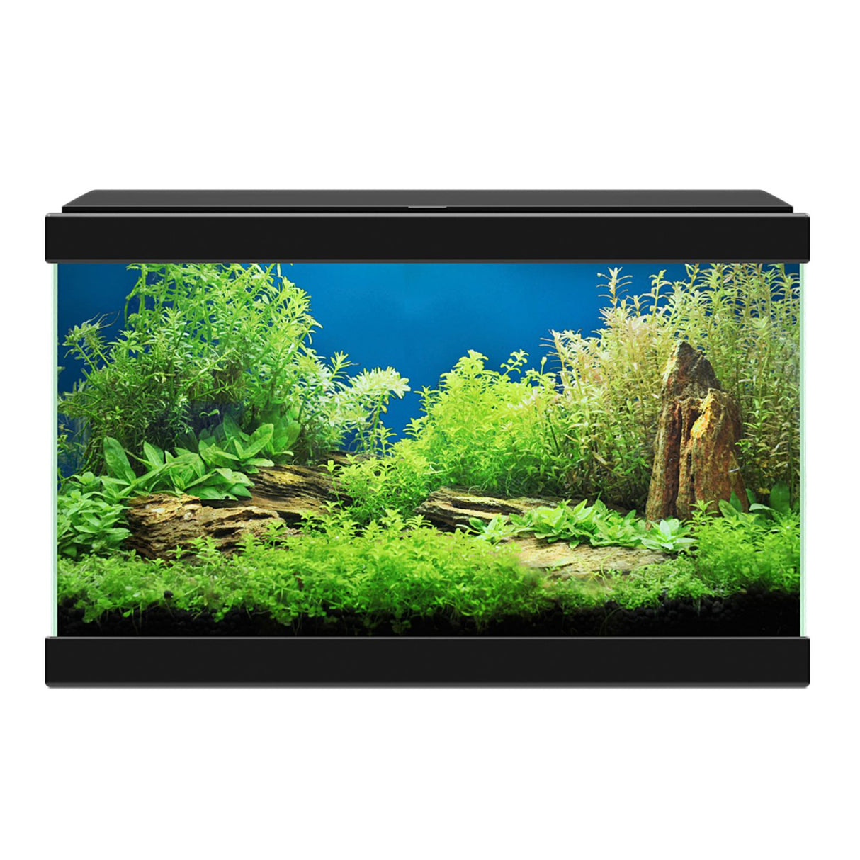 Ciano Aqua 20 Light Nature Aquarium