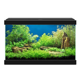 Ciano Aqua 20 Light Nature Aquarium
