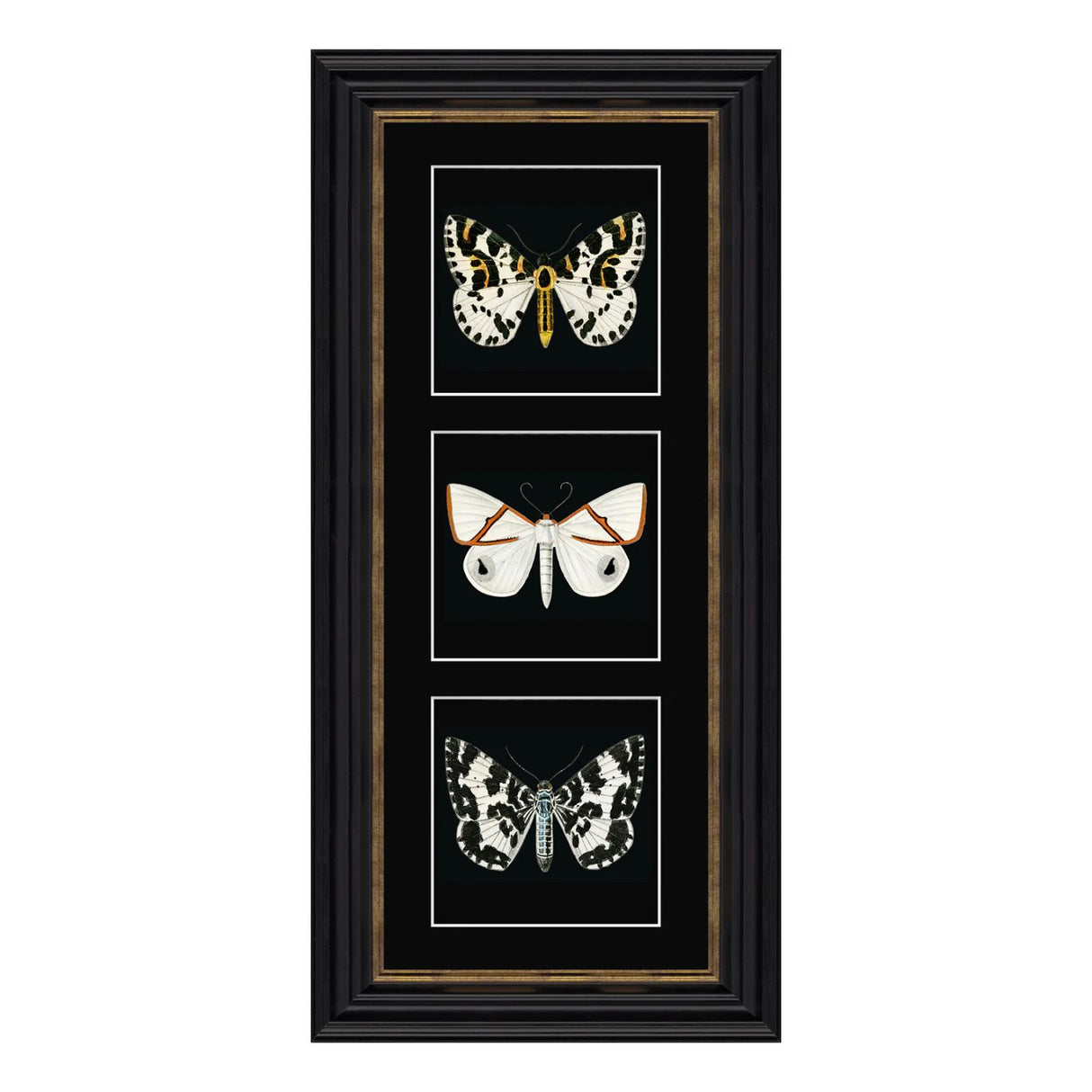 Artko 57cm 'White Butterflies' Frame Printed ByTriptych