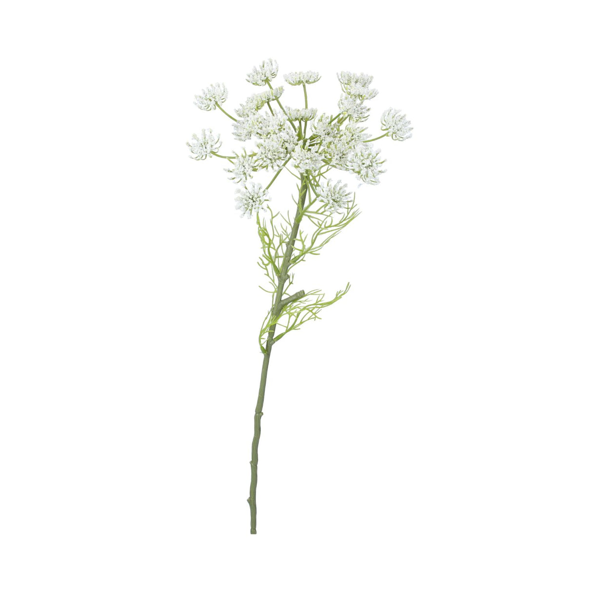 Gisela Graham White Queen Anne's Lace Stem