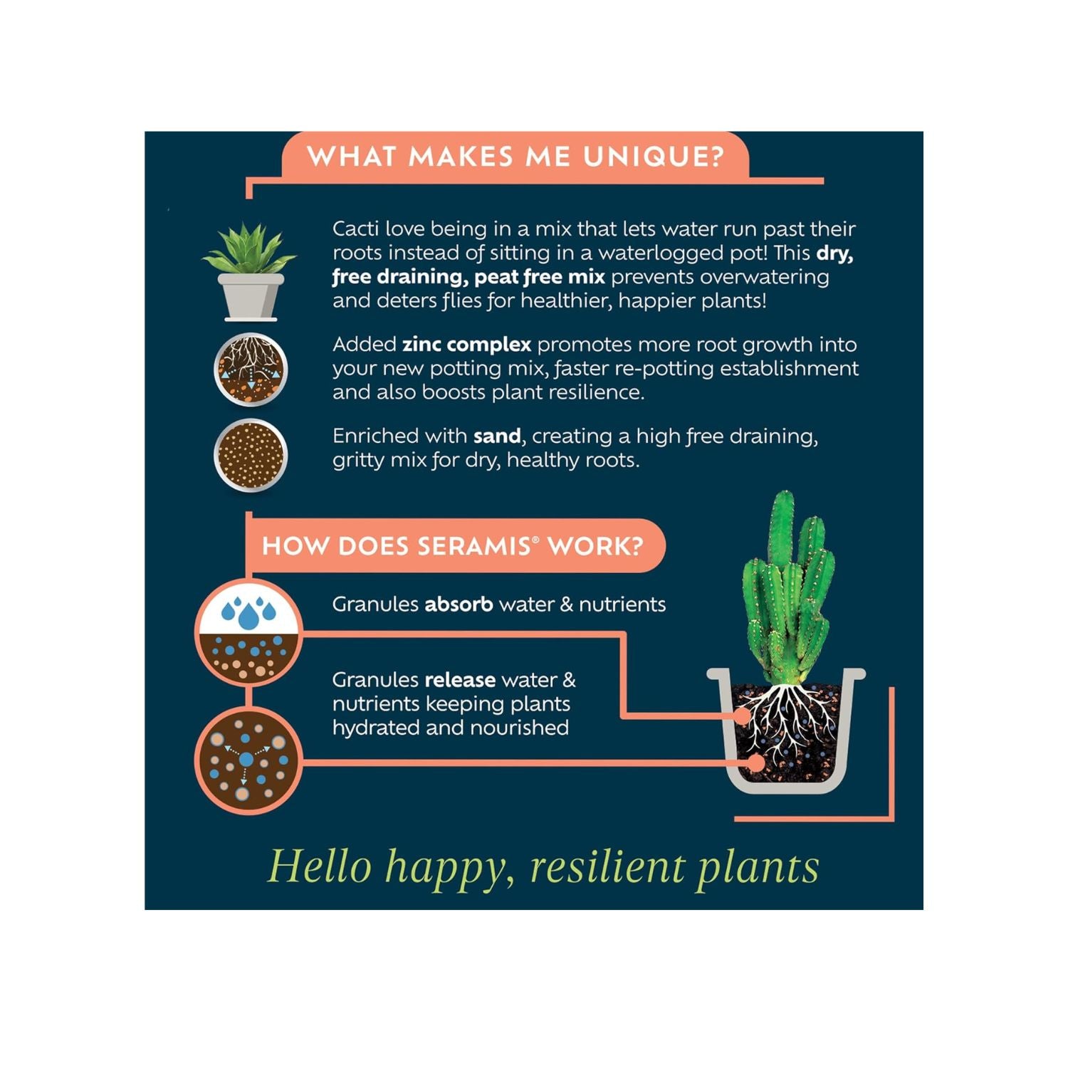 westland cacti & succulent potting mix Westland 4L Cacti & Succulent Potting Mix Peat Free Compost – Old Railway Line Garden Centre