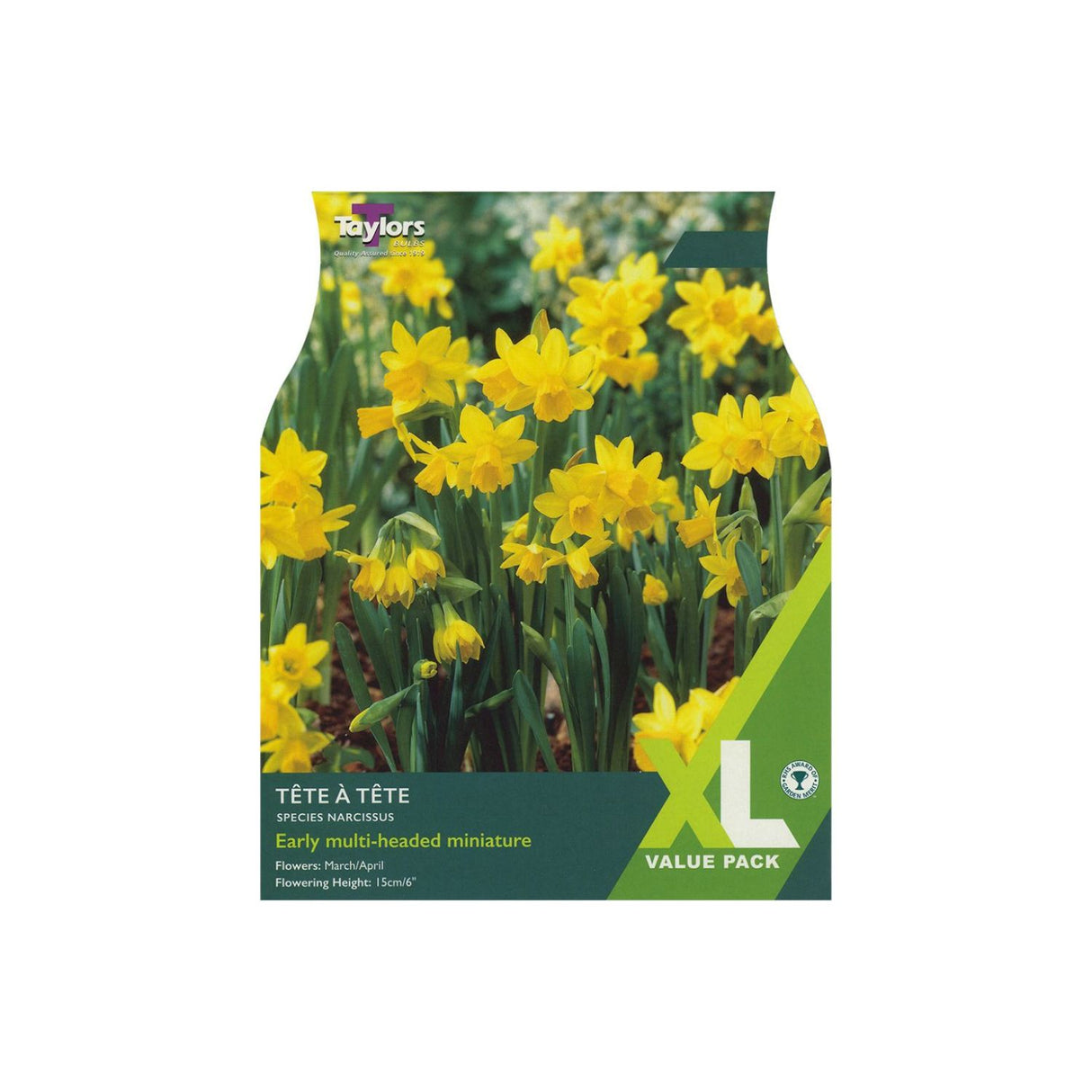 Taylors 25 Tete a Tete Narcissus Daffodil Bulbs
