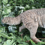 Vivid Arts 16cm  Real Life Prowling Wolf -XRL-POWL-D
