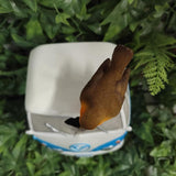 Vivid Arts 22.5cm Blue Camper Van/Robin Birdhouse - XBC-BH88-D