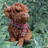 Vivid Arts 14.5cm Sitting Highland Cow with Red Scarf - XRL-HLC7-F
