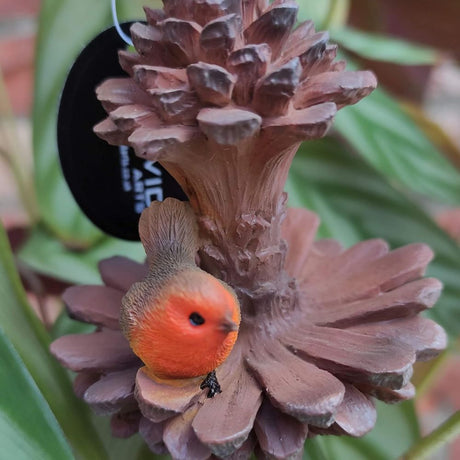 Vivid Arts 7.8cm Hanging Mini Robin In Pine cone