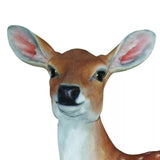Vivid Arts 81cm Fallow Deer - XRL-DEER-A