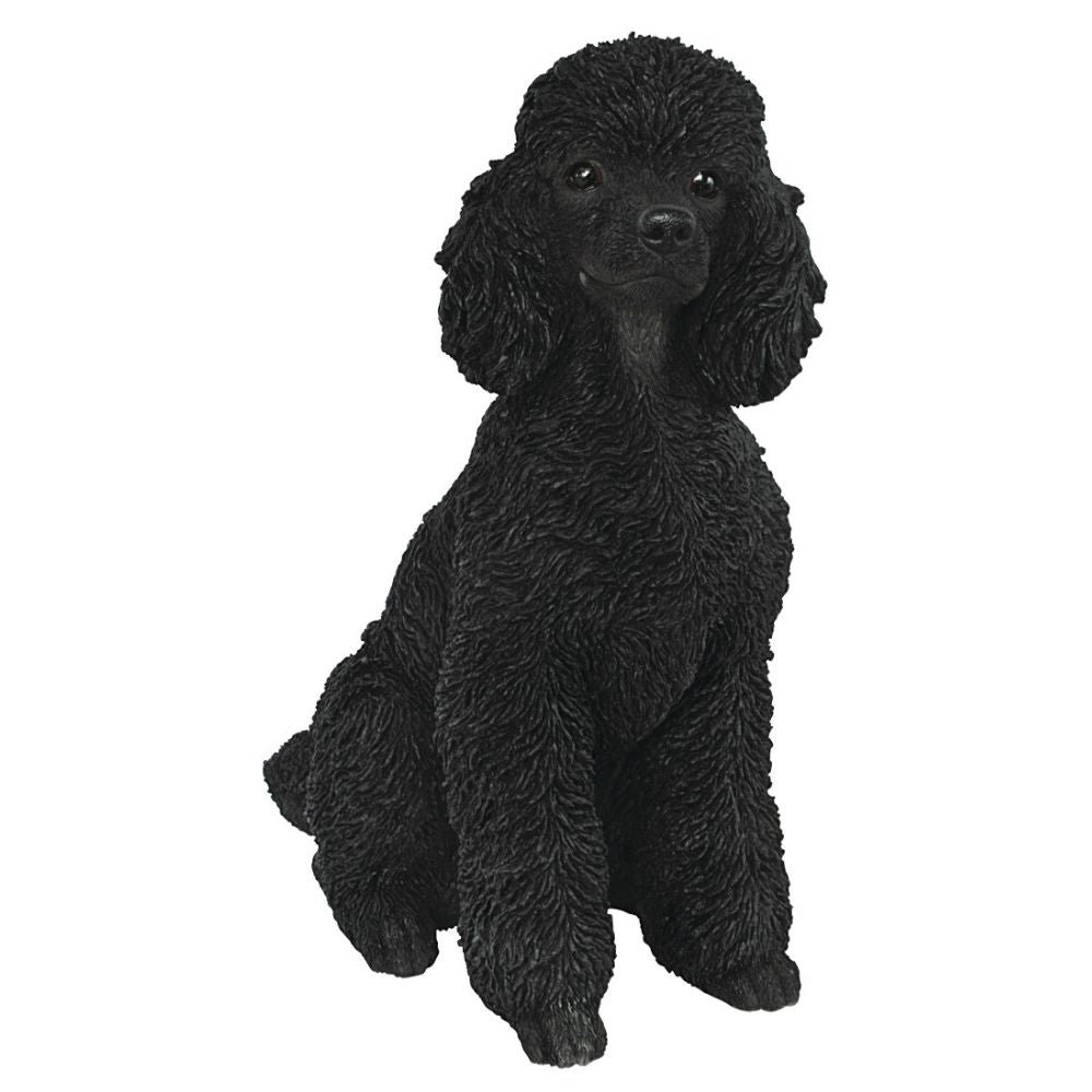 Vivid Arts Black Sitting Toy Poodle