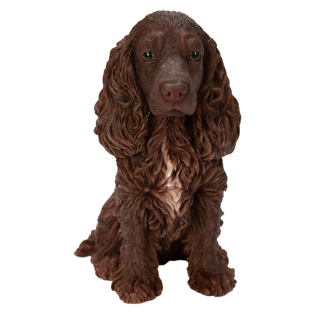 Vivid Arts Chocolate Brown Cocker Spaniel