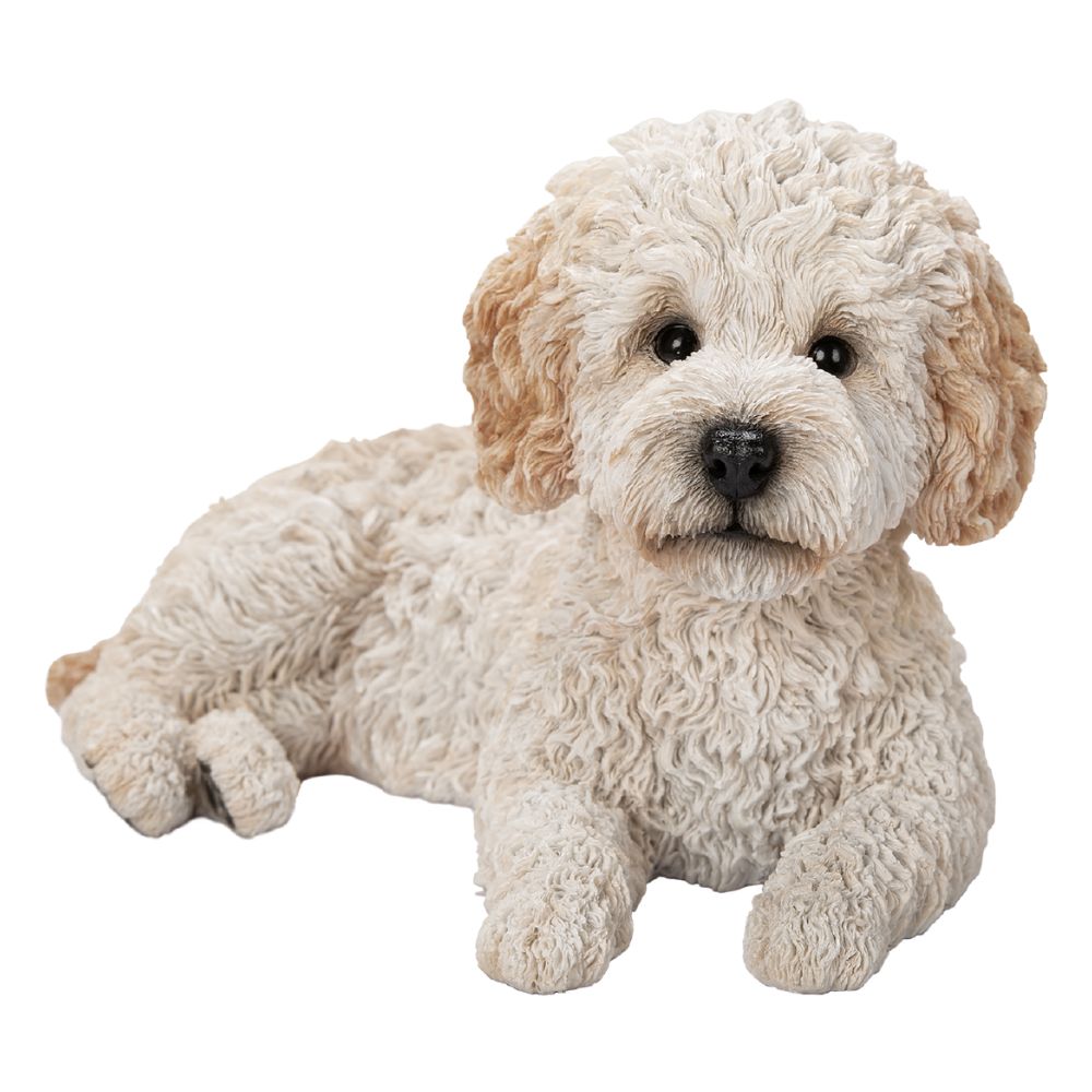 Vivid Arts Creme Labradoodle