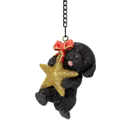 Vivid Arts Hanging Black Labrador with Star Pet Pal