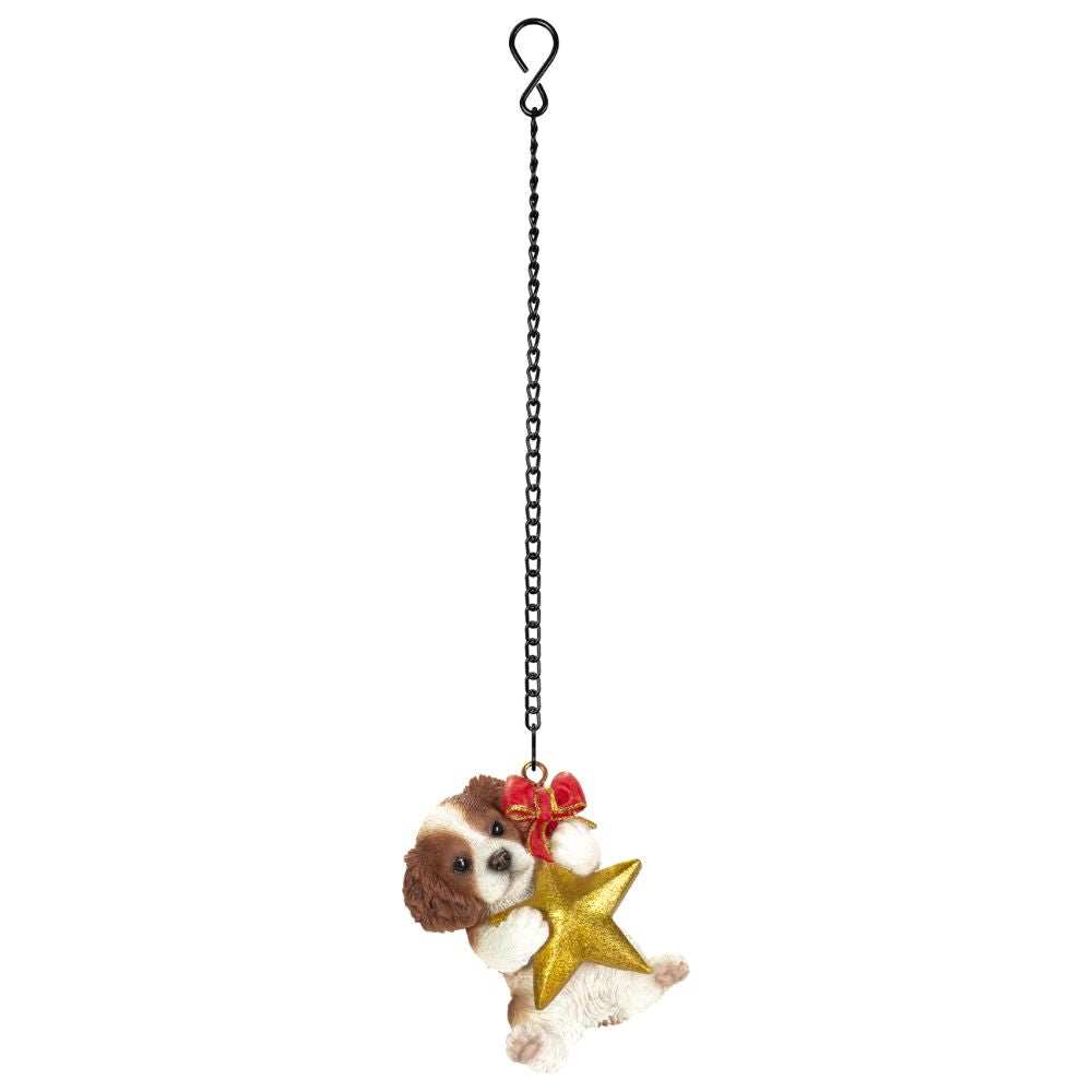 Vivid Arts Hanging King Charles Spaniel with Star Pet Pal