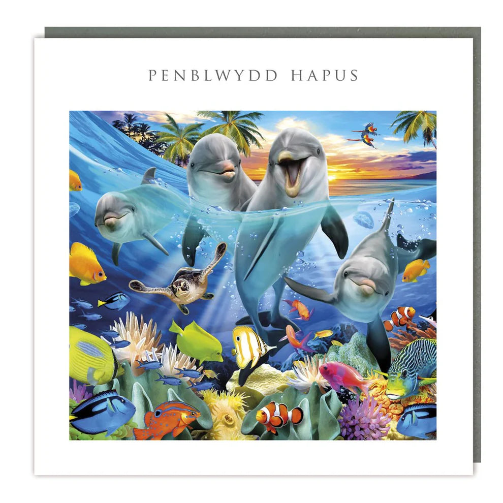 Tracks Publishing Penblwydd Hapus Dolphin & Friends Blank Card