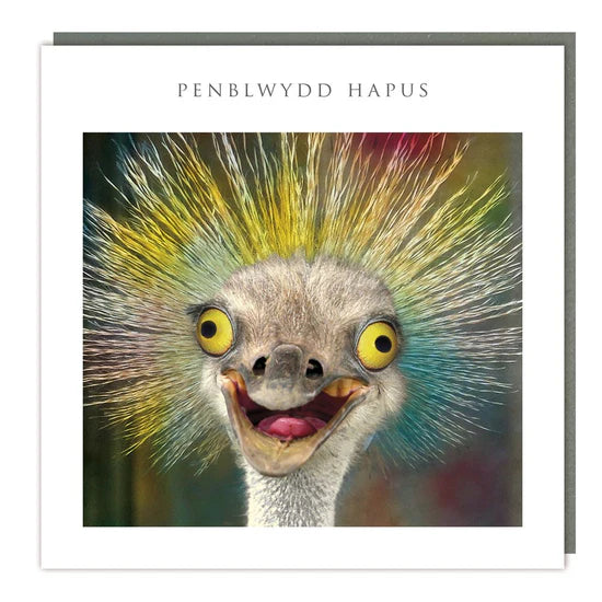 Tracks Publishing Penblwydd Hapus Hair Raising Ostrich Blank Card