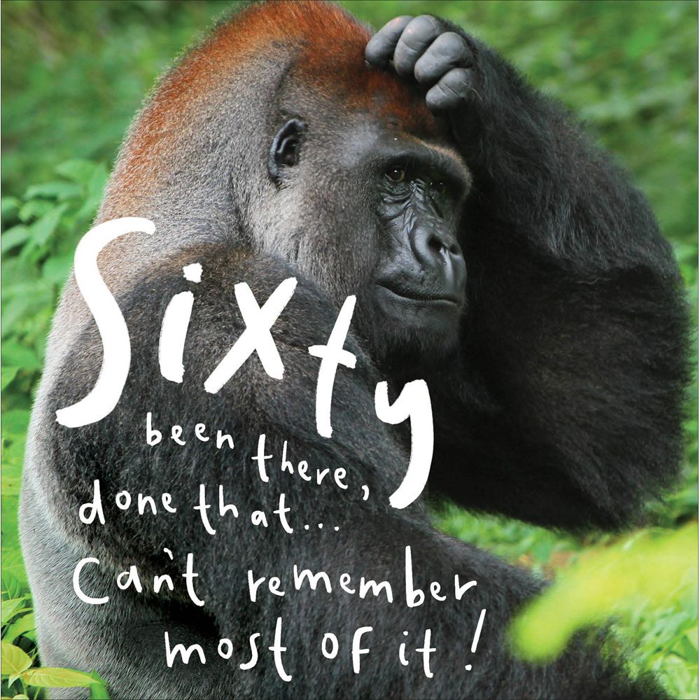 Woodmansterne 60th Forgetful Gorilla Birthday Card