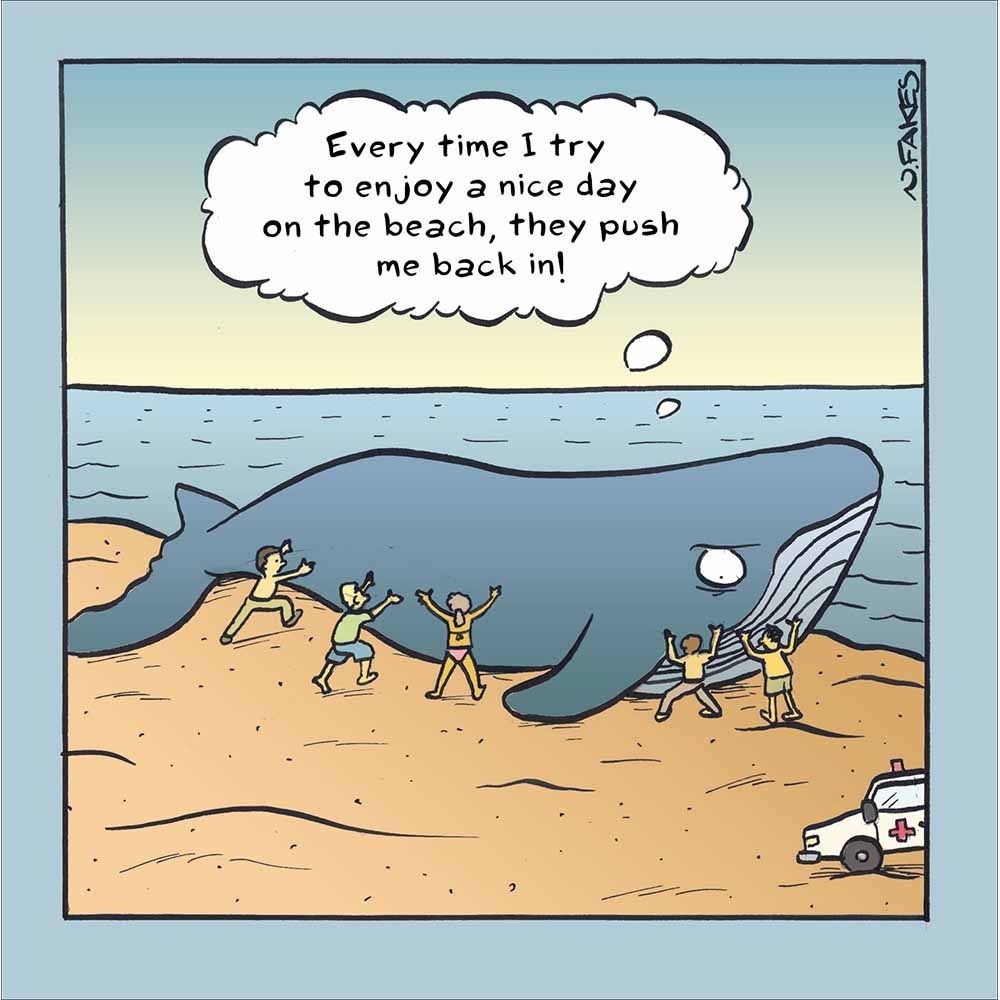 Woodmansterne Beached Whale Funny Blank Card