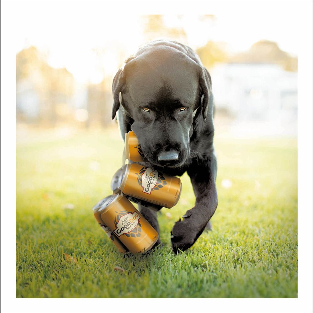 Woodmansterne Beer Dog Blank Card