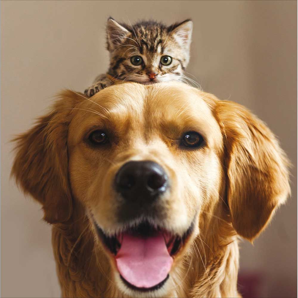 Woodmansterne Best Friends Blank Card