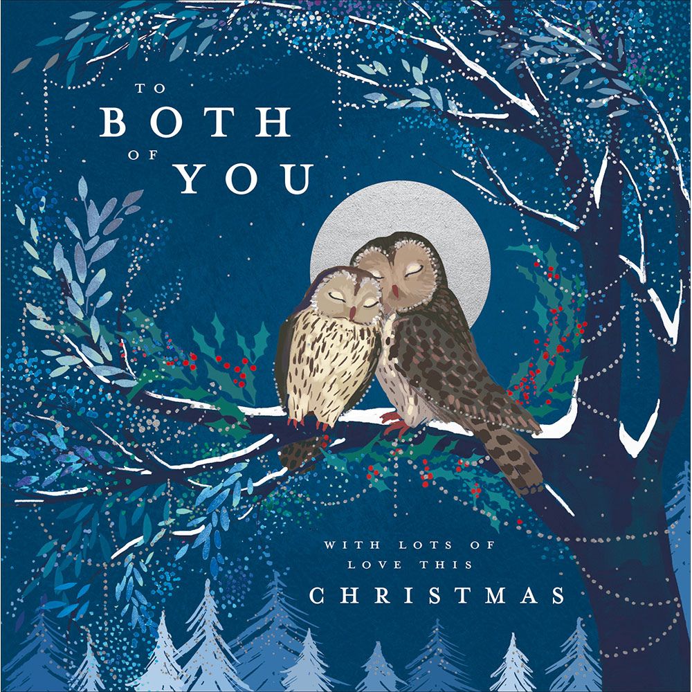 Woodmansterne Both of You Owls on Branch Christmas Card