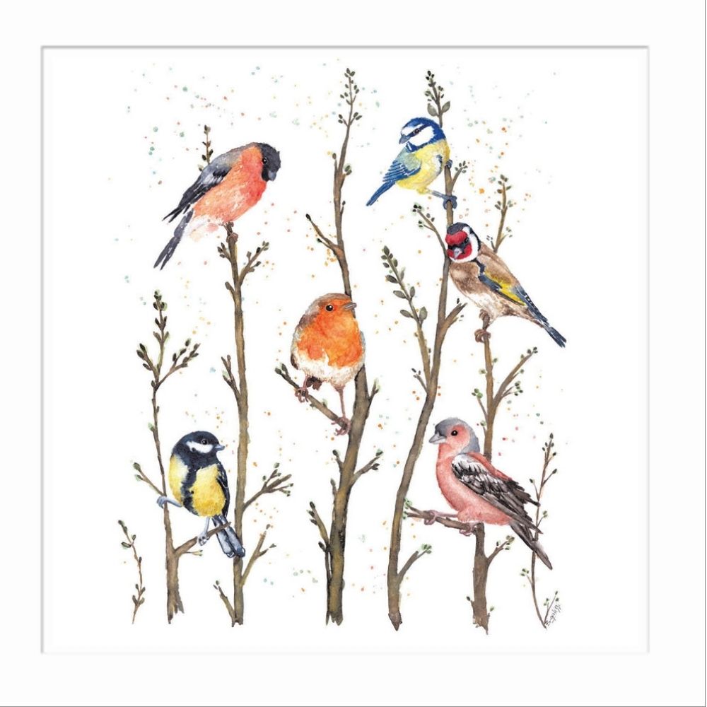Woodmansterne British Garden Birds Blank Card