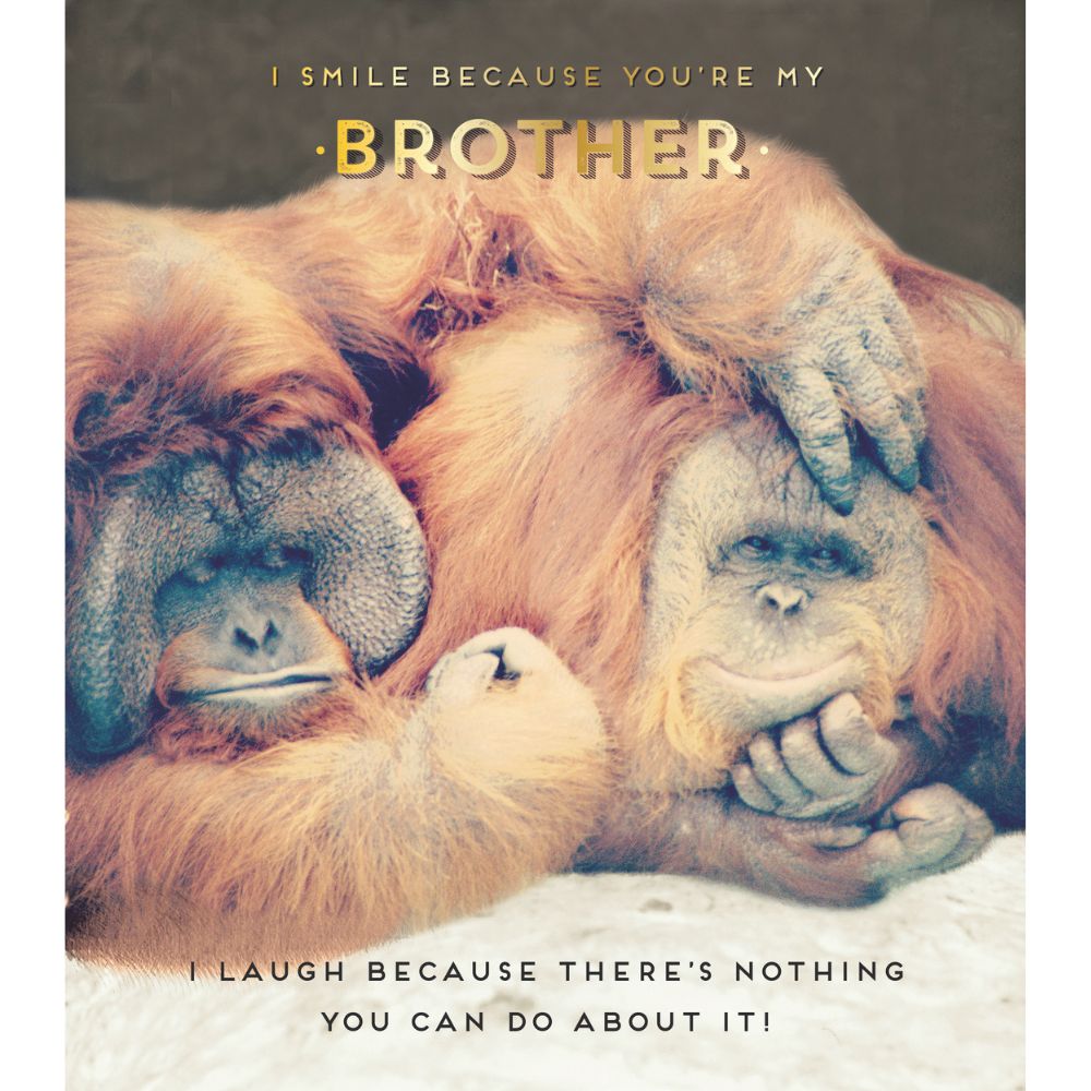 Woodmansterne Brother Orangutan Funny Birthday Card