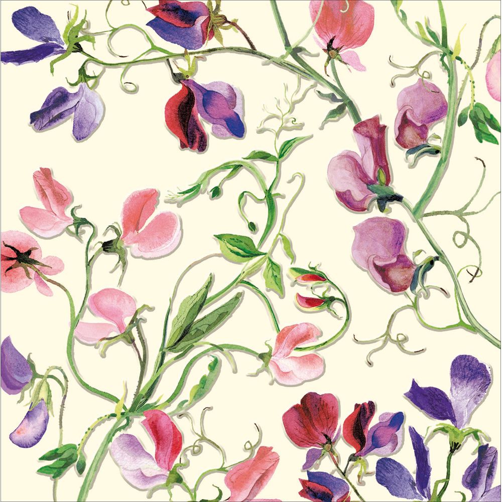 Woodmansterne Colourful Sweatpeas Blank Card