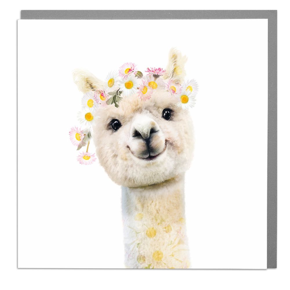 Woodmansterne Cute Alpaca Blank Card