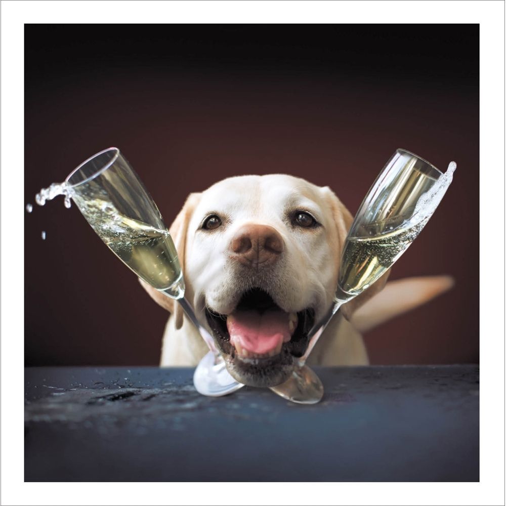 Woodmansterne Dog with Champagne Blank Card